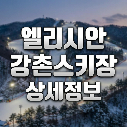 2025 2026 엘리시안 강촌 스키장 개장일 운영시간 리프트권 가격 시즌권 할인 초급자 슬로프 야간 심야 운영