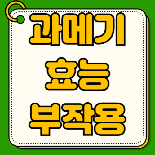 과메기 효능 부작용 칼로리 다이어트 겨울 제철 과메기 영양성분 체중관리 식단 활용법
