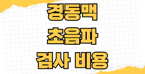 경동맥 초음파 검사 비용 뇌졸중 전조증상 자가 진단법 FAST 원칙과 실비보험 청구