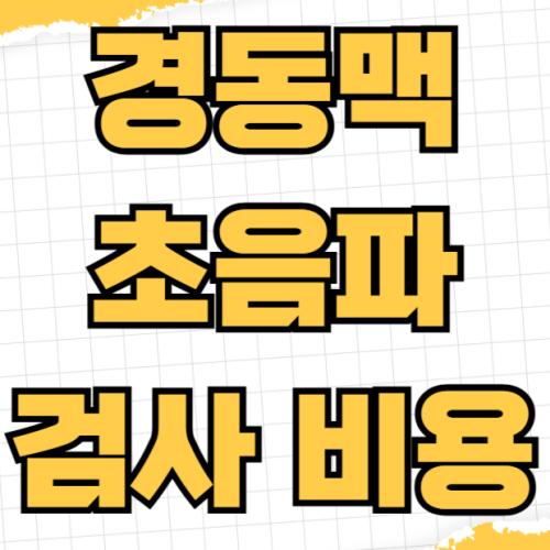 경동맥 초음파 검사 비용 뇌졸중 전조증상 자가 진단법 FAST 원칙과 실비보험 청구 경동맥 초음파 검사 비용 뇌졸중 전조증상 자가 진단법 FAST 원칙과 실비보험 청구