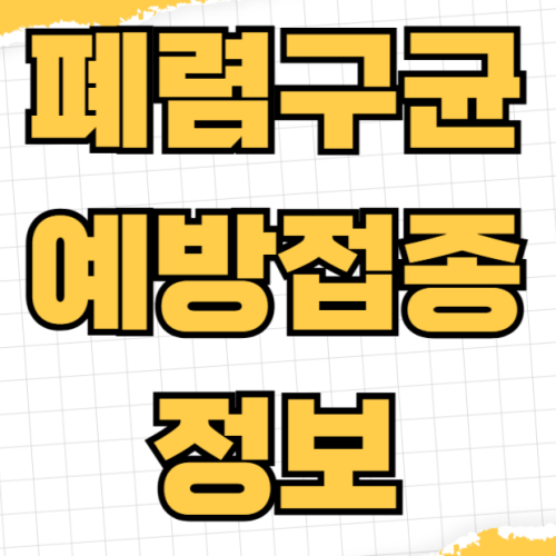 폐렴구균 예방접종 13가 23가 차이 65세 이상 무료 접종 시기와 신청 방법 가격 폐렴구균 예방접종 13가 23가 차이 65세 이상 무료 접종 시기와 신청 방법 가격