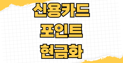 신용카드 포인트 현금화 방법 항공 마일리지 전환 비교 카드사별 사용처 소멸 방지