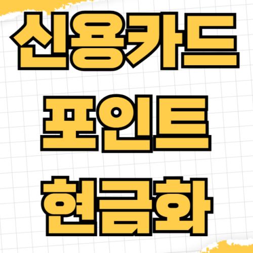 신용카드 포인트 현금화 방법 항공 마일리지 전환 비교 카드사별 사용처 소멸 방지 신용카드 포인트 현금화 방법 항공 마일리지 전환 비교 카드사별 사용처 소멸 방지