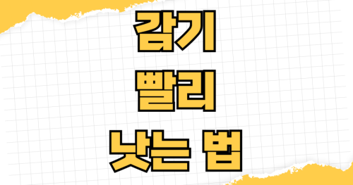 목감기 코감기 몸살 감기 빨리 낫는 법 증상별 약국약 선택 방법과 병원 가야 할 때 민간요법