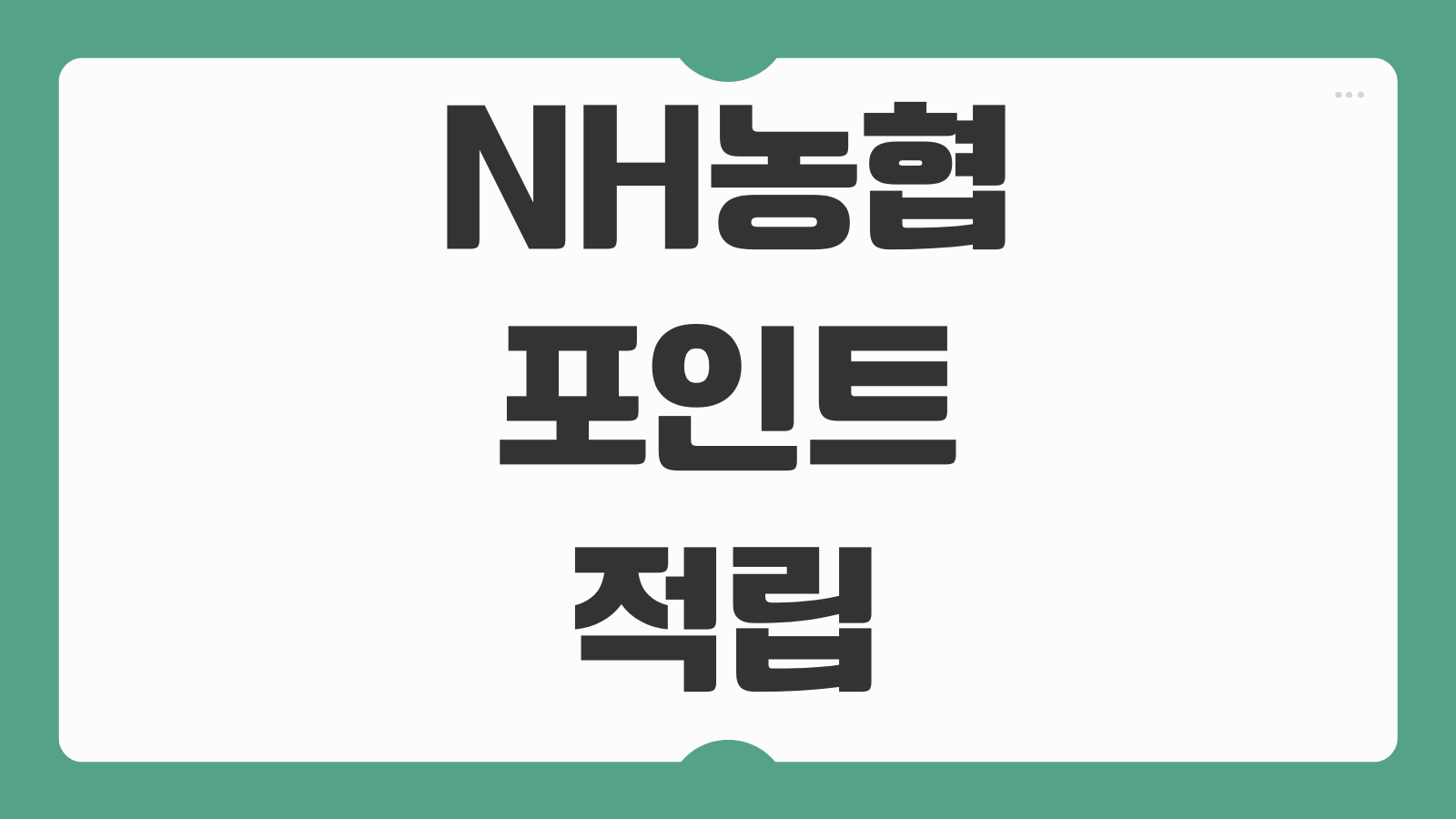 NH농협카드 포인트 적립 사용처 현금화 연회비 추천 혜택 비교 총정리