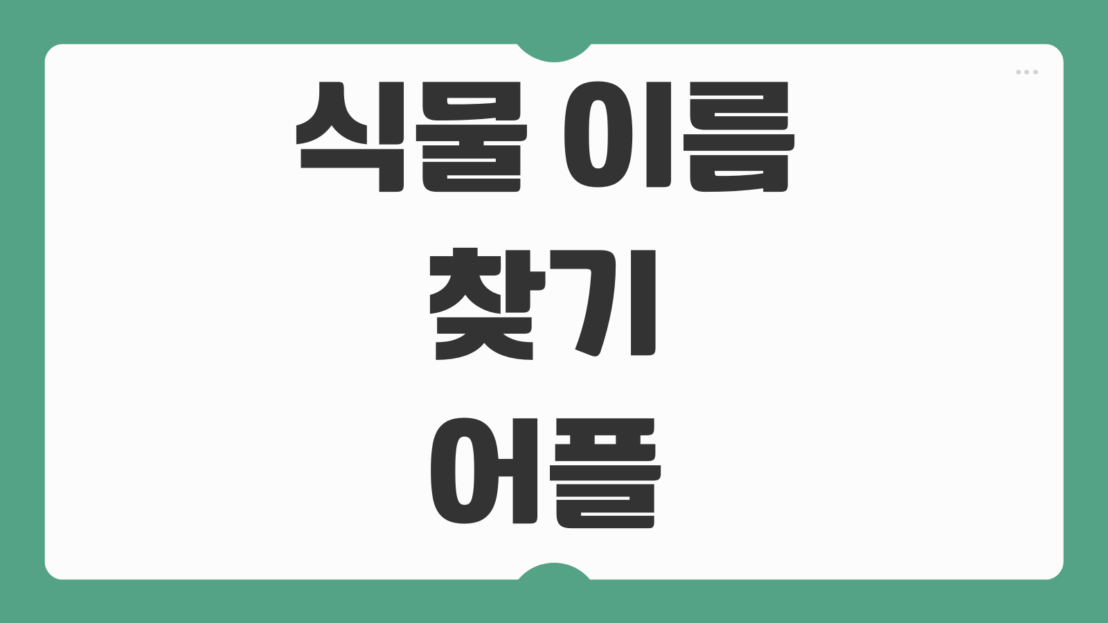 식물 이름 찾기 어플 네이버 구글 꽃 사진 검색 카메라로 바로 확인하는 법