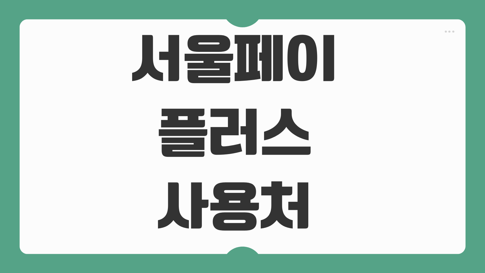 서울페이플러스 사용처 어디 배달 가맹점 사용 후기 결제오류 해결팁